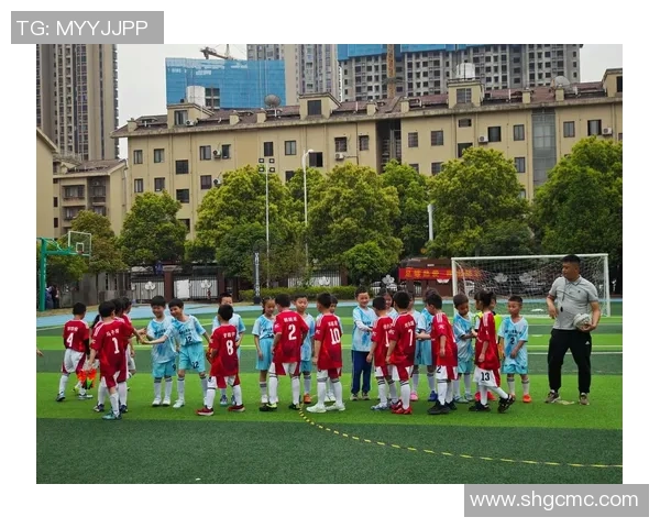 孩子眼中的足球偶像：从梦想到现实，谁是他们心中的球场英雄